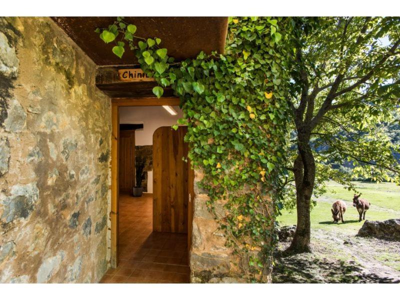 Casas Rurales Molinias Fosado Dış mekan fotoğraf